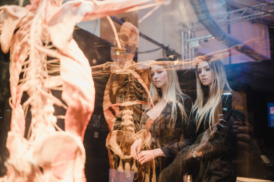 Организация и проведение анатомической выставки «Body Worlds»